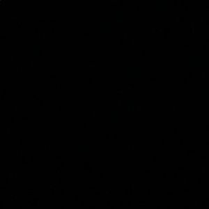 Meet your Posher, Abigail